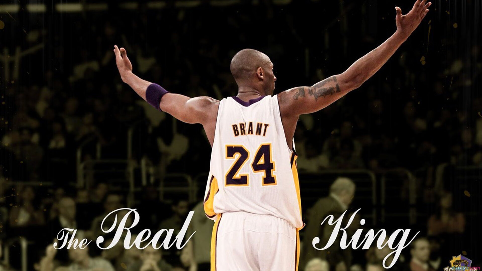 随机比赛现场:运动员们的坚持与激情,运动员坚持不懈的训练