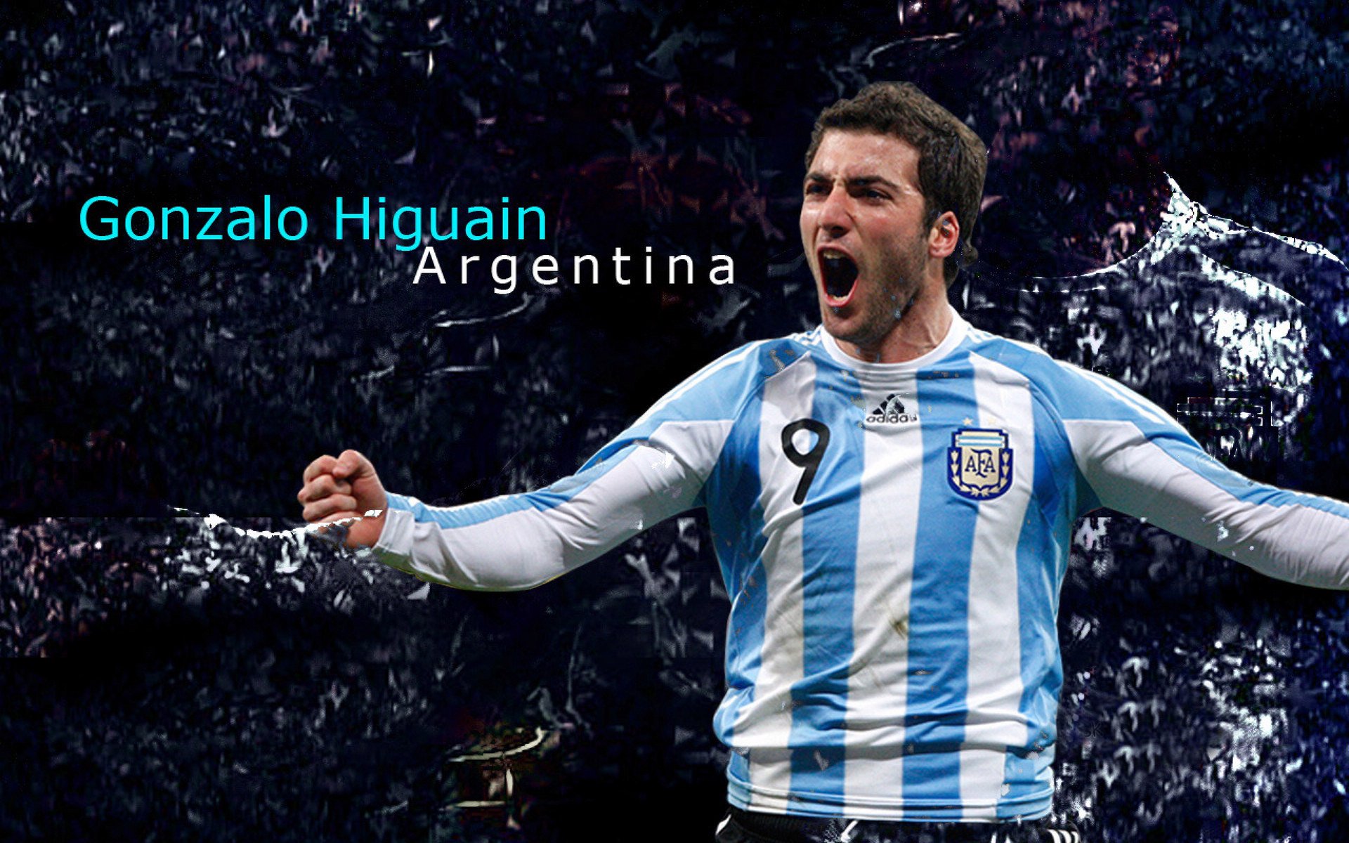 开云全站-哥伦比亚马术协会推出马术运动员健康管理系统，关注运动员身心健康。