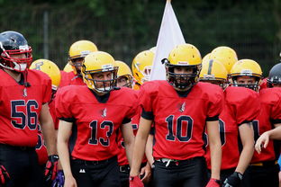 开云体育在线赛事直播-球员伤病防护不足，球员伤病对球员的影响